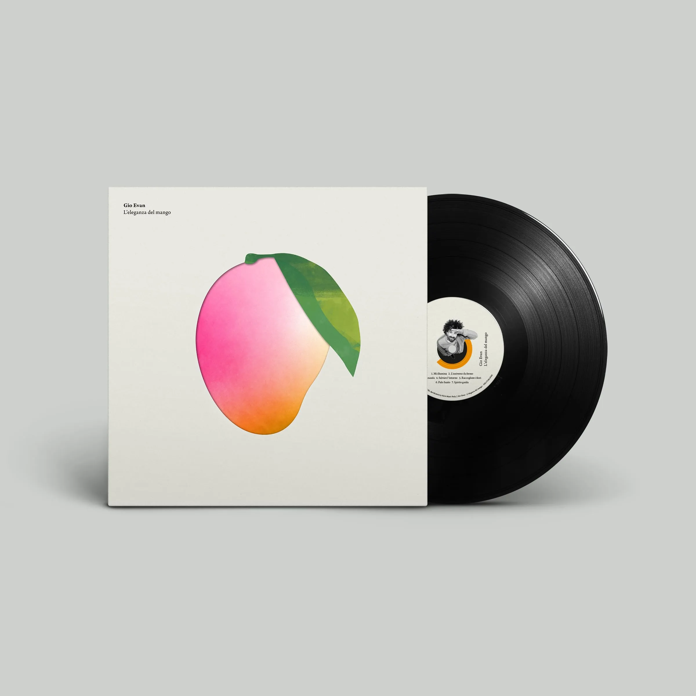 L'eleganza del mango - Vinile Nero Standard