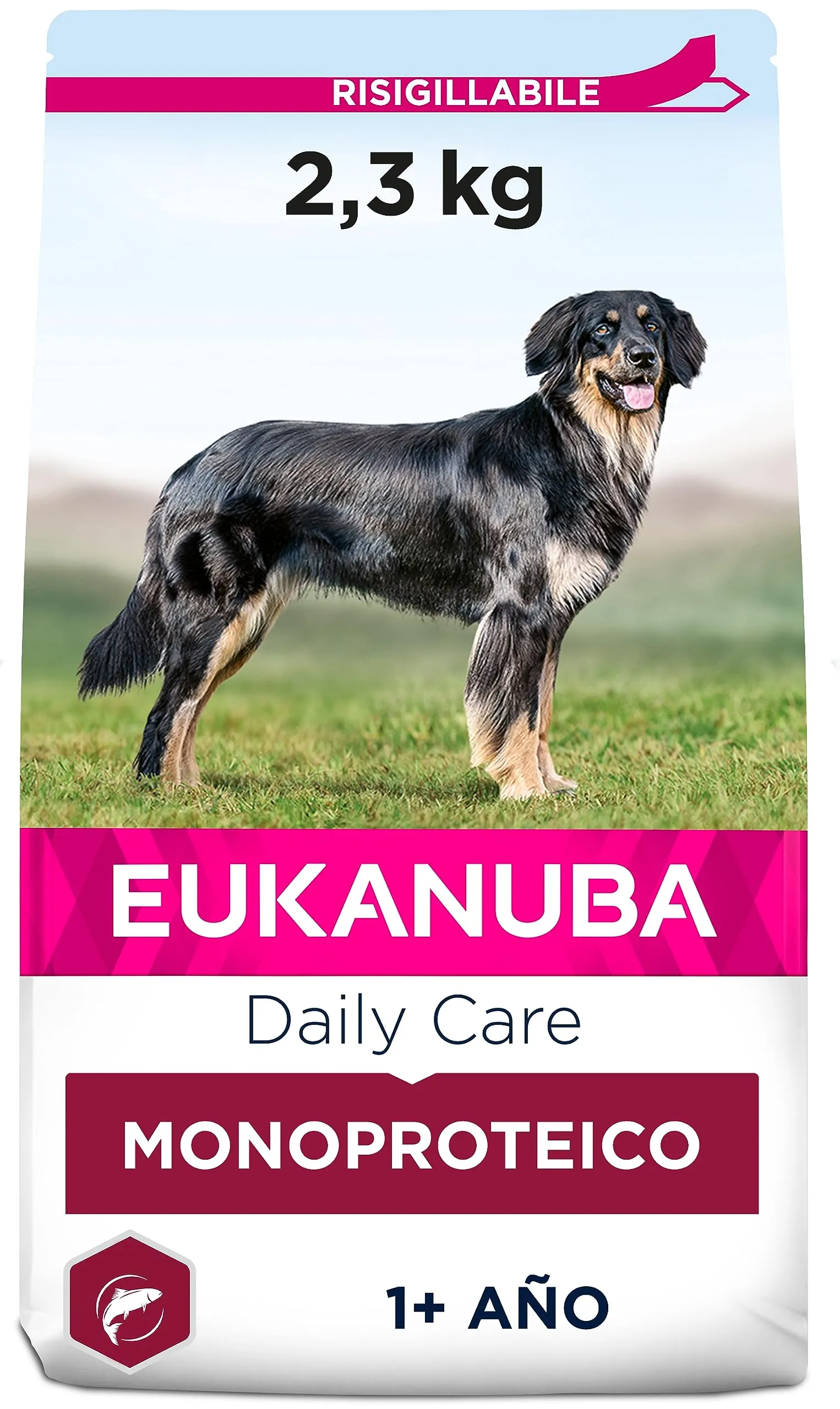 Eukanuba Daily Care Monoproteico Salmone - Alimento Secco per Cani Adulti