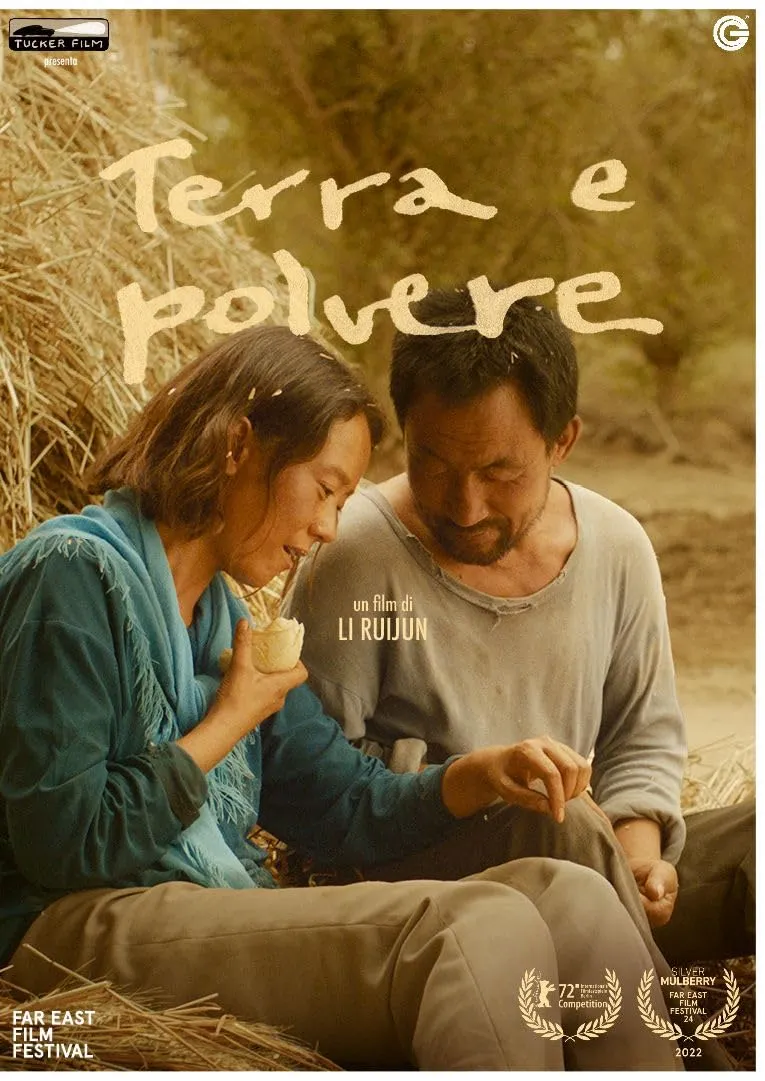 Terra e polvere - Rivestimento Standard per Interni