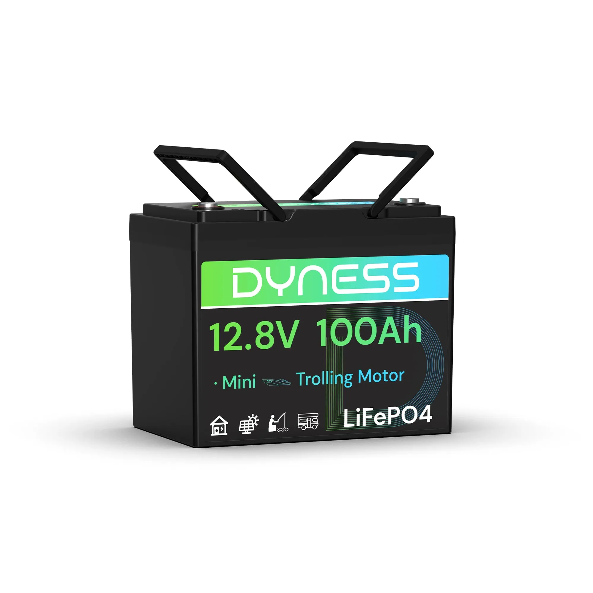 Batteria al Litio Dyness 12V 100Ah LiFePO4 Mini con BMS 100A