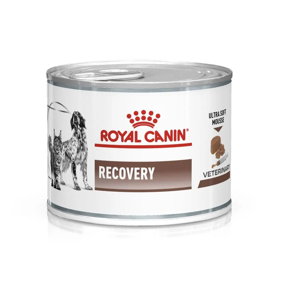 Royal Canin Veterinary Recovery Mousse per Cani e Gatti - 12 x 195g