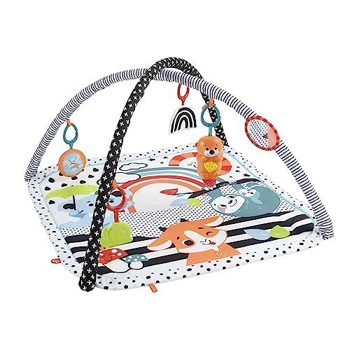Fisher-Price - Palestrina Musicale 3 in 1 per neonati, con giocattoli sensoriali, luci e suoni per giocare distesi sul pancino, giocattolo per bambini, 0+ anni, HPF39