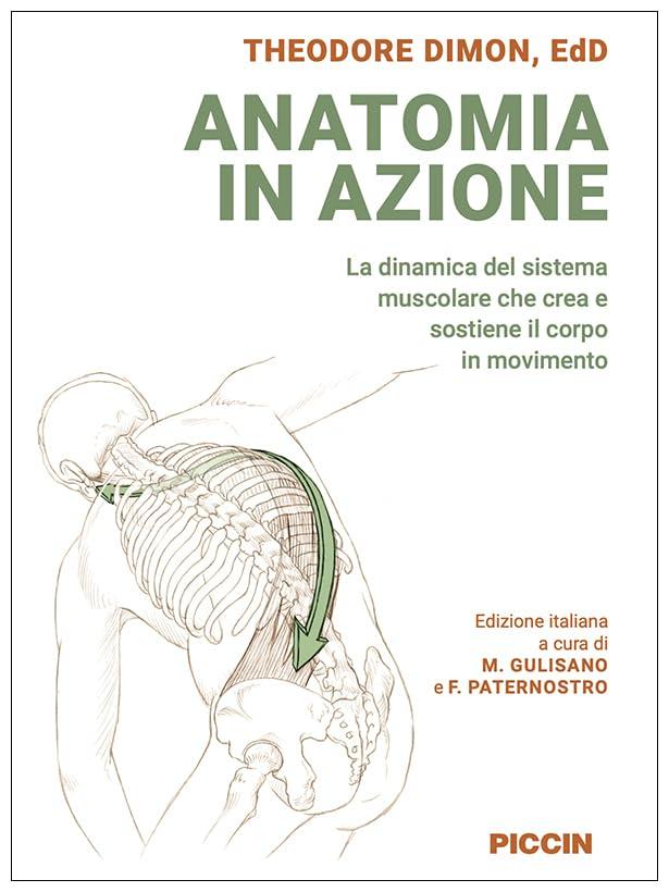 Anatomia in Azione: La Dinamica del Sistema Muscolare
