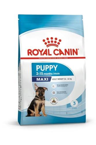 Royal Canin Maxi Junior - 10 kg