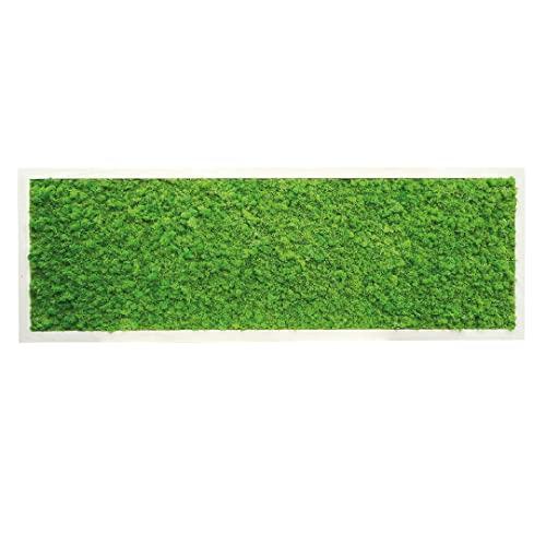 Quadro in Muschio Stabilizzato 180x60 cm con Lichene Premium