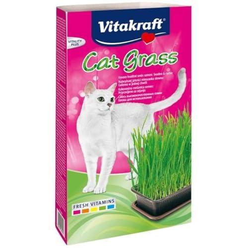 Vitakraft Cat Grass - Erba Gatta Fresca con Vitamine e Minerali (120g)