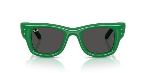 Ray-Ban Occhiali da sole Rocky Rb4940 Wayfarer Puffer Blacked Out Collection