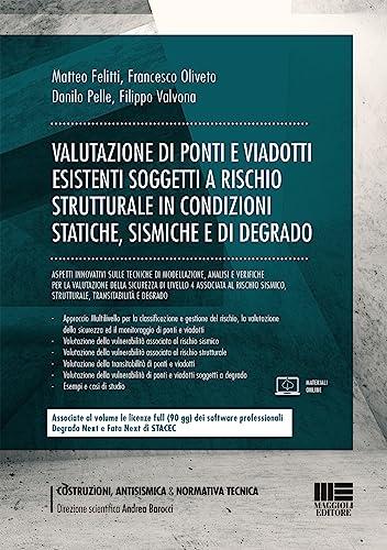 Valutazione di ponti e viadotti esistenti soggetti a rischi strutturale in condizioni statiche, sismiche e di degrado