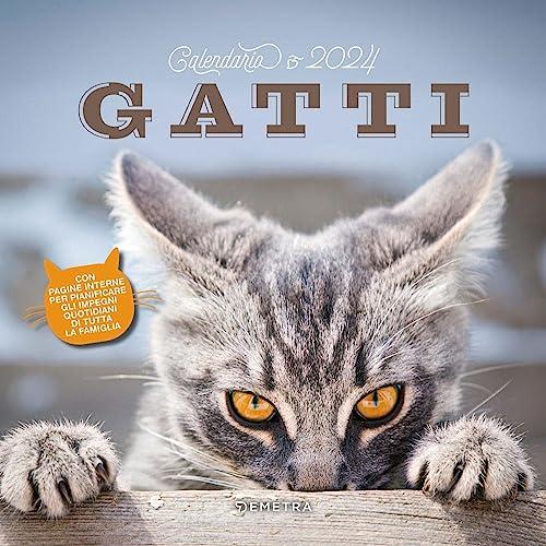 Calendario gatti 2024 da parete (30 x 30 cm). Ediz. illustrata