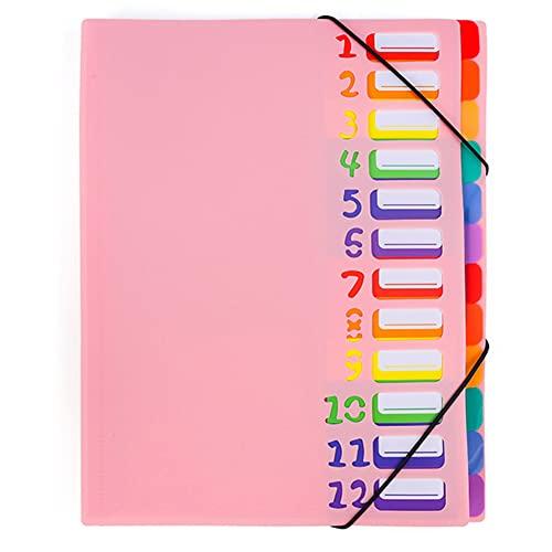 Cartelle a Soffietto Espandibili - Cartellina Portadocumenti Espandibile Portatile Accordion File 12 Tasche Cartella Portadocumenti Organizer per Ufficio della Società Casa (Rosa)
