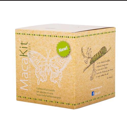 MacaKit - Kit per Allevare Farfalle Macaone in Casa