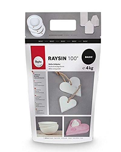 Rayher Raysin 100 Polvere di Ceramica 4kg