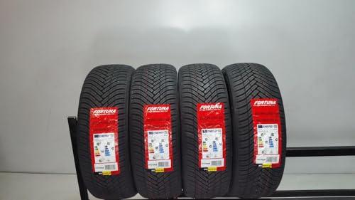 FORTUNA ECOPLUS2 4S 195/55 R16 91V XL