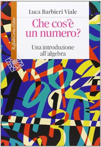 Che cos'è un numero. Un'introduzione all'algebra