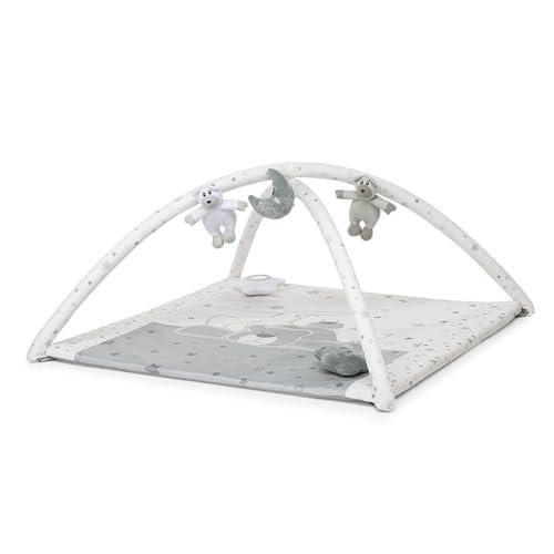 Foppapedretti Trainer Palestrina - Dolcestella