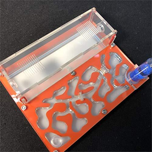 ANT GRAPE Formicario Educativo Arancione