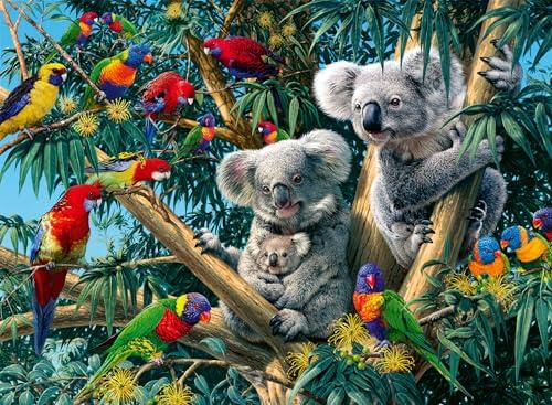 Ravensburger 12000206 - Koala nell'albero - puzzle 500 pezzi – puzzle adulti e ragazzi da 12 anni, puzzle animali