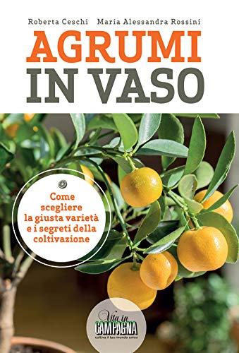 Agrumi in Vaso: Guida Completa alla Coltivazione e Utilizzo
