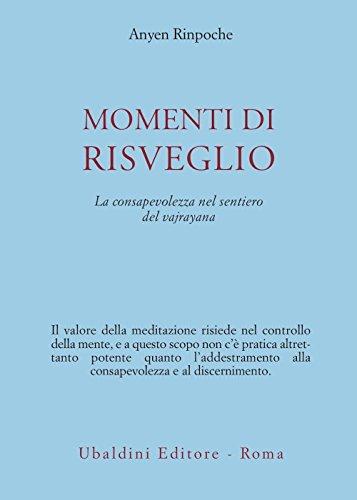Momenti di risveglio. La consapevolezza nel sentiero del vajrayana