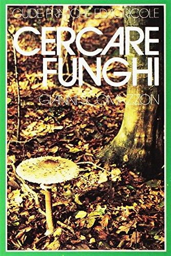 Guida pratica per cercare funghi