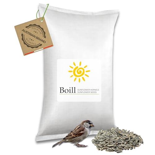 Boill Semi di Girasole a Strisce 25 kg - Cibo Naturale per Uccelli Selvatici