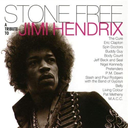 Stone Free: A Tribute to Jimi Hendrix - Various Artists