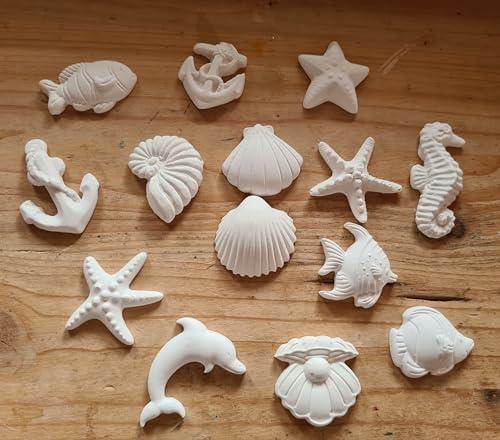 50 Gessetti Profumati Forme Marine Misti in Gesso Ceramico