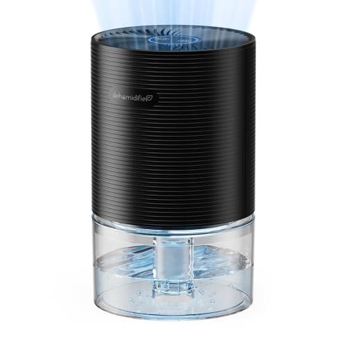 Deumidificatore Portatile per Ambienti Domestici