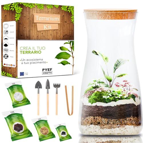 Terrarium Kit DIY per un Ecosistema Autosufficiente - Terrarium Vetro con Piante per Giardino in Bottiglia - Micro Ecosistema in Vetro - Kit Terrario Piante - Kit con bottiglia (Senza Pianta)