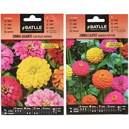 Battle - Semi di Fiori - Zinnia Gigante a fior di Dalia