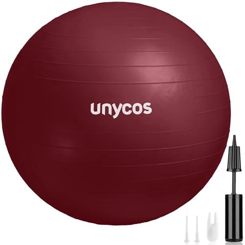 Palla Fitness Antiscivolo 65 cm con Pompa, Fitball Anti-Scoppio