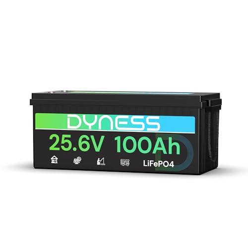 Batteria Litio LiFePO4 Dyness 24V 100Ah con BMS 100A e Protezione Bassa Temperatura