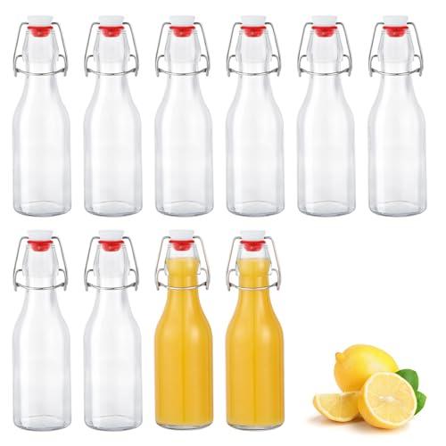 Zanfqvo Set da 10 Bottiglie Costolate in Vetro con Tappo Ermetico, 250ml