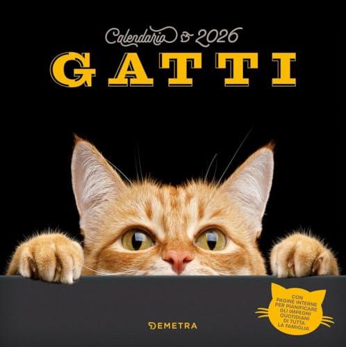 Calendario Gatti 2026 da parete (30 x 30 cm)