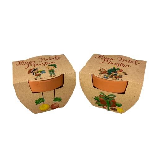 Vaso in terracotta con semi personalizzato per la maestra