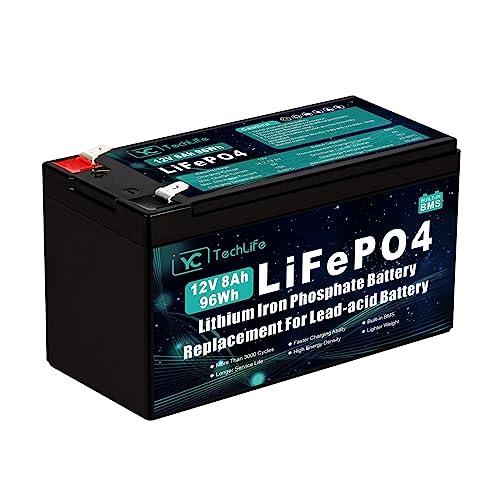 Batteria Litio Ferro Fosfato (LiFePO4) 12V 8Ah con BMS 10A