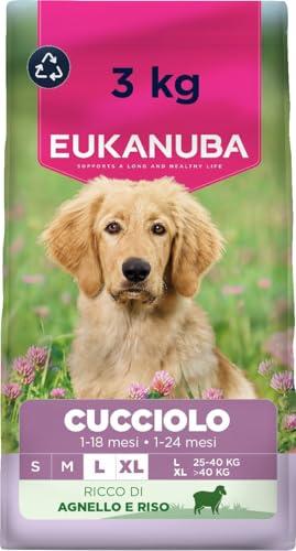 EUKANUBA Puppy Large Breed Agnello e Riso 3kg