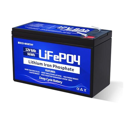 ECO-WORTHY Batteria al Litio LiFePO4 12V 8Ah