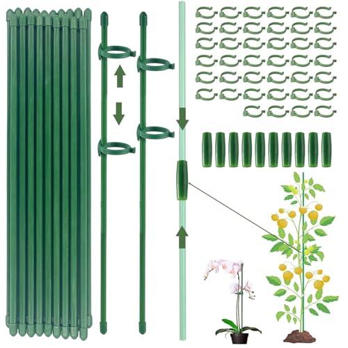 Supporto per Piante Rinforzato - Kit Completo con Accessori