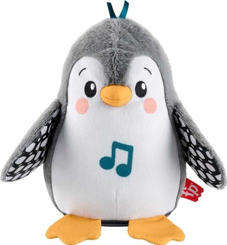 Fisher-Price Pinguino Dolci Coccole HNC10