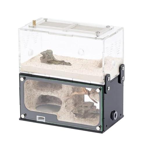 Formicaio in Cemento con Area di Caccia e Espansione Verticale Illimitata - 15cm