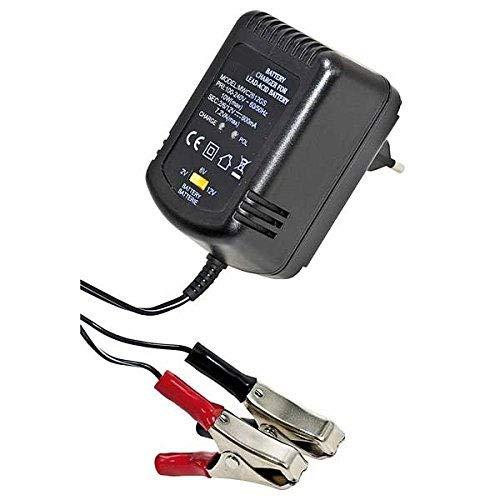 Caricabatterie Universale per Batterie al Piombo 2V, 6V, 12V - 600mAh Stabilizzato con LED di Stato
