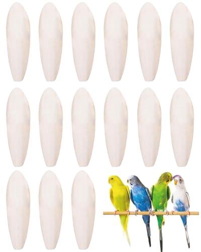 Osso di Seppia Naturale per Uccelli, Pappagalli, Rettili e Tartarughe - IPNSDON 15 Pezzi