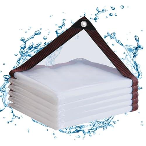 Telo di Copertura Impermeabile Trasparente 2x3m con Occhielli Rinforzati
