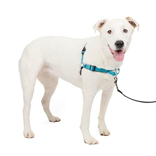 PetSafe Pettorina Easy Walk Deluxe Blu Oceano - Media/Grande