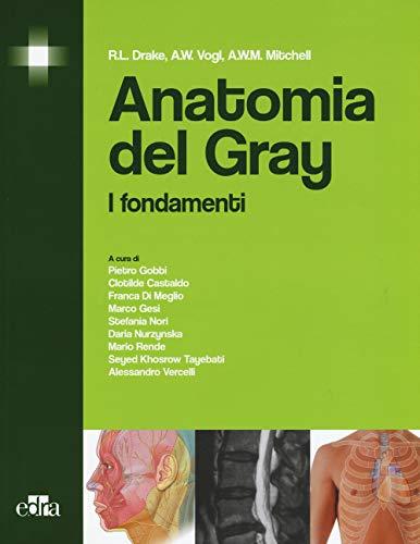 Anatomia del Gray: I fondamenti (Italian Edition) - 3a Edizione