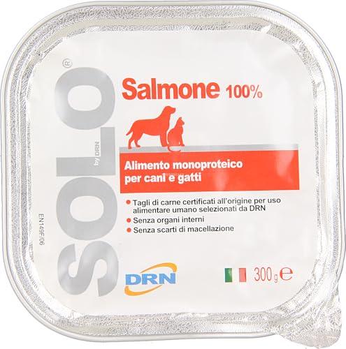DRN Solo Salmone 300 gr - Confezione da 18