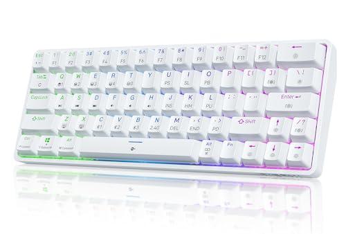 Dierya DK63 Tastiera Meccanica Wireless Gaming RGB Bianca