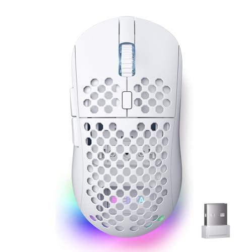 Dierya x TMKB M1 Mouse Wireless Gaming Bianco