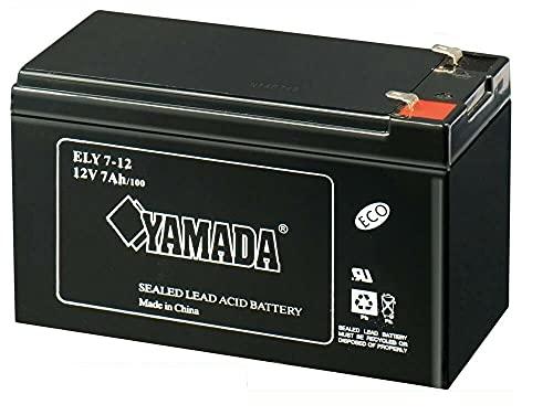 Batteria al Piombo Ricaricabile 12V 7Ah
